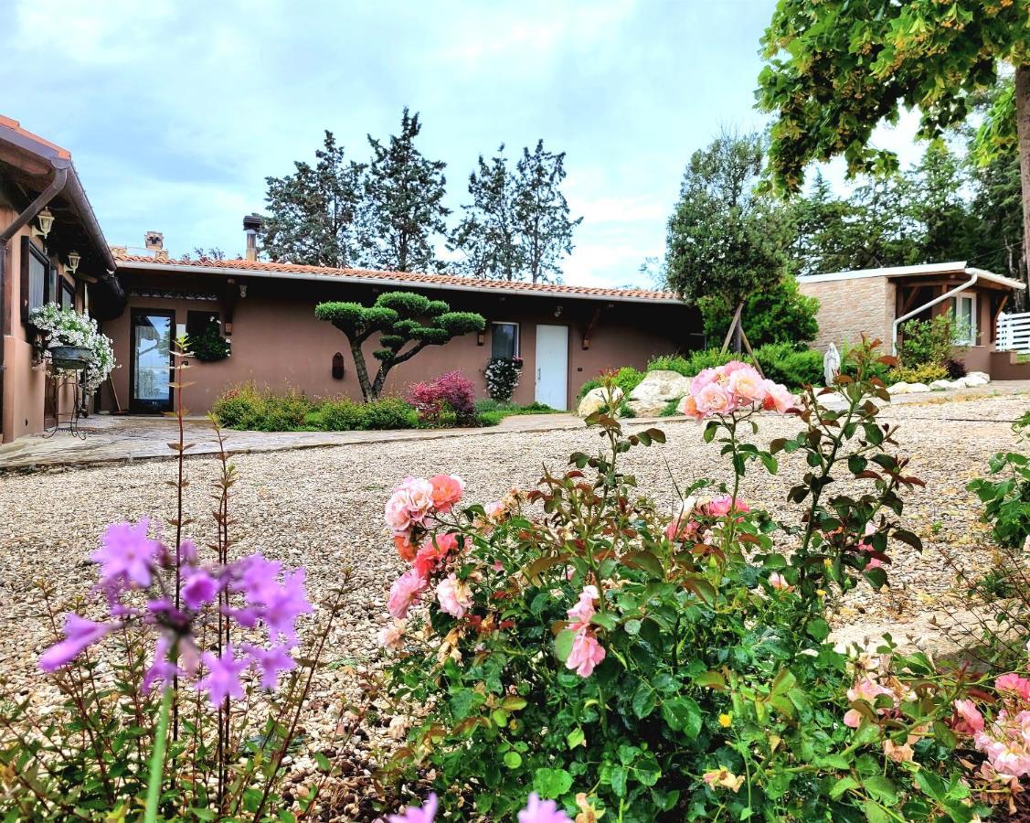 Villa La Collina Dei Cavalieri Belvedere Ostrense Exterior foto