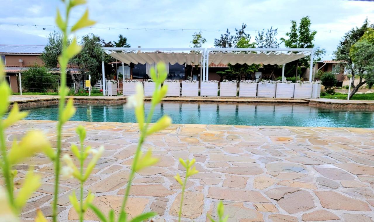 Villa La Collina Dei Cavalieri Belvedere Ostrense Exterior foto