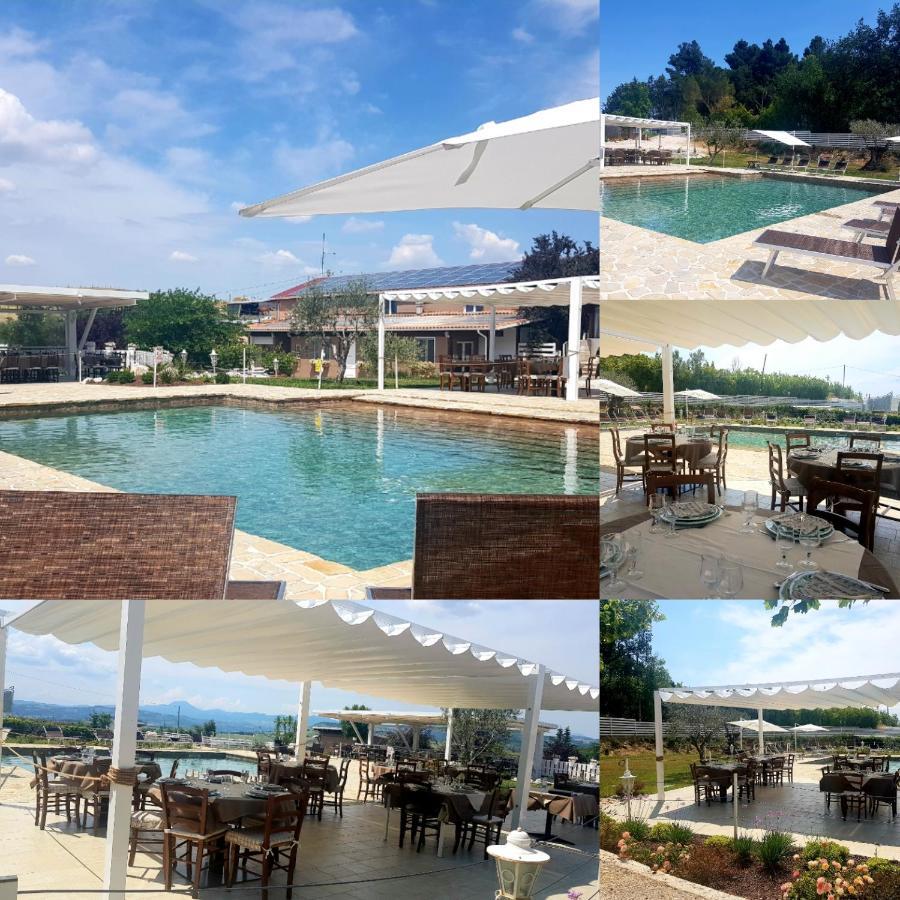 Villa La Collina Dei Cavalieri Belvedere Ostrense Exterior foto