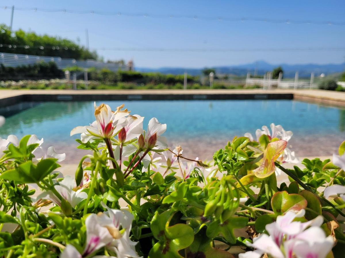 Villa La Collina Dei Cavalieri Belvedere Ostrense Exterior foto