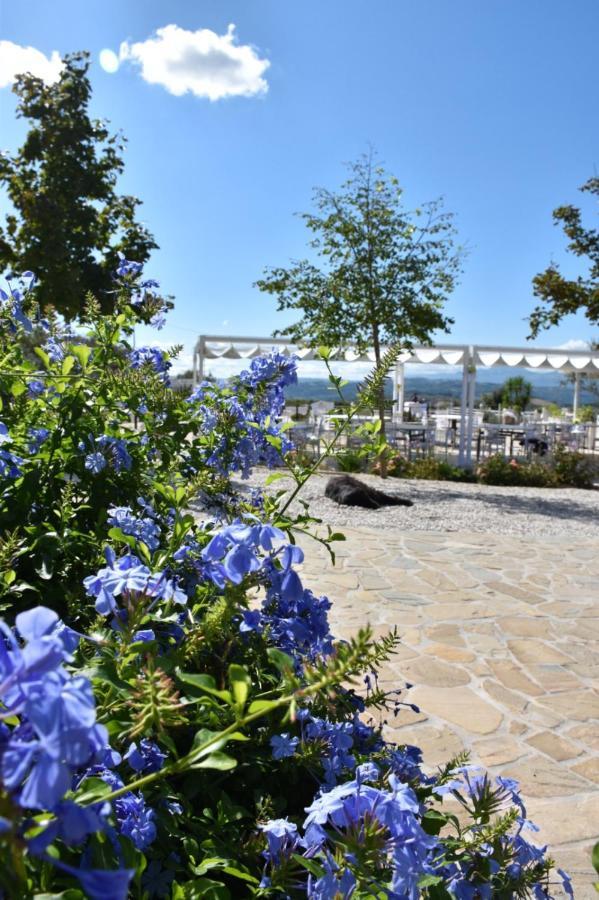 Villa La Collina Dei Cavalieri Belvedere Ostrense Exterior foto